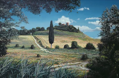 Lollipop Tree, Umbria